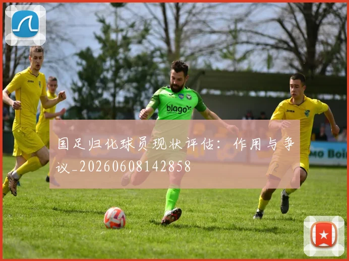 国足归化球员现状评估:作用与争议_20260608142858
