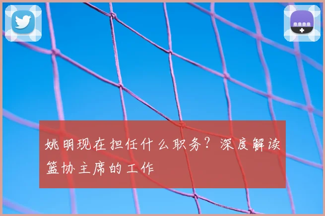 姚明现在担任什么职务？深度解读篮协主席的工作